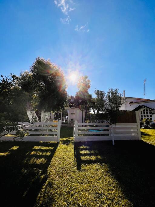 Under The Vine Garden House Daire Platánion Dış mekan fotoğraf