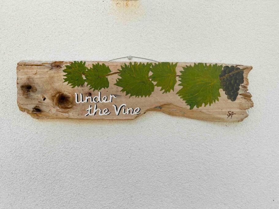 Under The Vine Garden House Daire Platánion Dış mekan fotoğraf